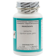 Seven Forests - Lysimachia 3