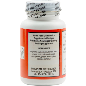 Seven Forests - Omphalia 11