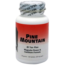 Pine Mountain Bi Yan Pian 120 tabs
