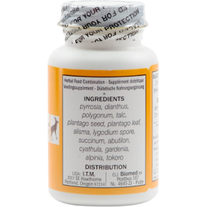 Seven Forests - Pyrrosia 14