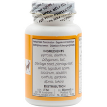 Seven Forests - Pyrrosia 14