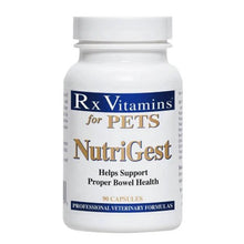 Rx Vitamins Pets NutriGest for Dogs & Cats 90 caps