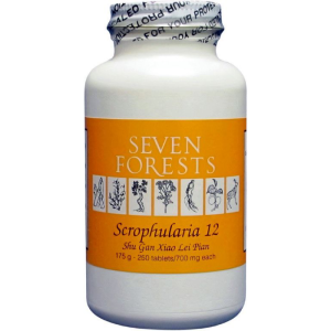 Seven Forests - Scrophularia 12