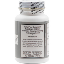 Seven Forests - Woman’s Treasure