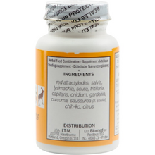 Seven Forests - Zhu Dan Tablets